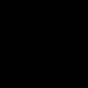 Meet your Posher, Leslee